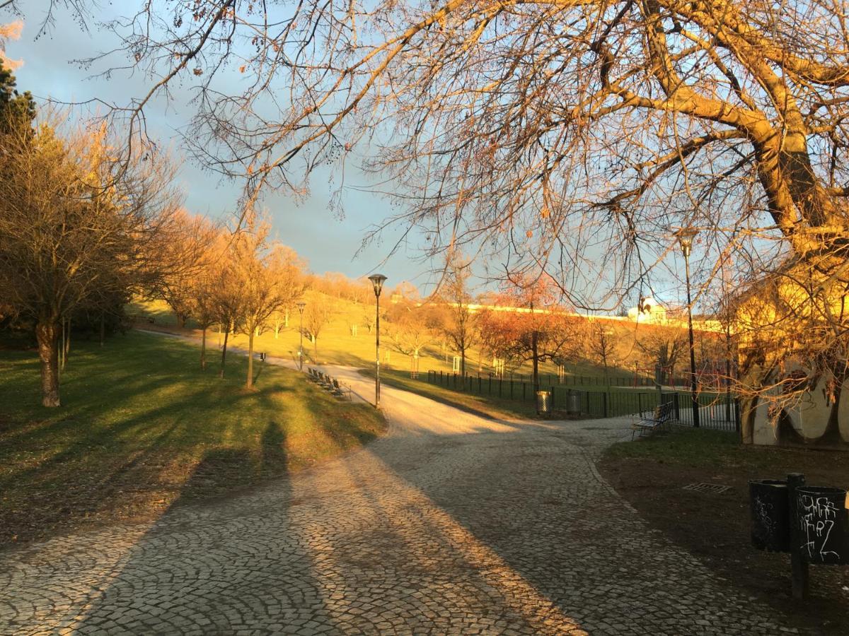 Kiki & Luky Family Apartment By Prague Castle エクステリア 写真